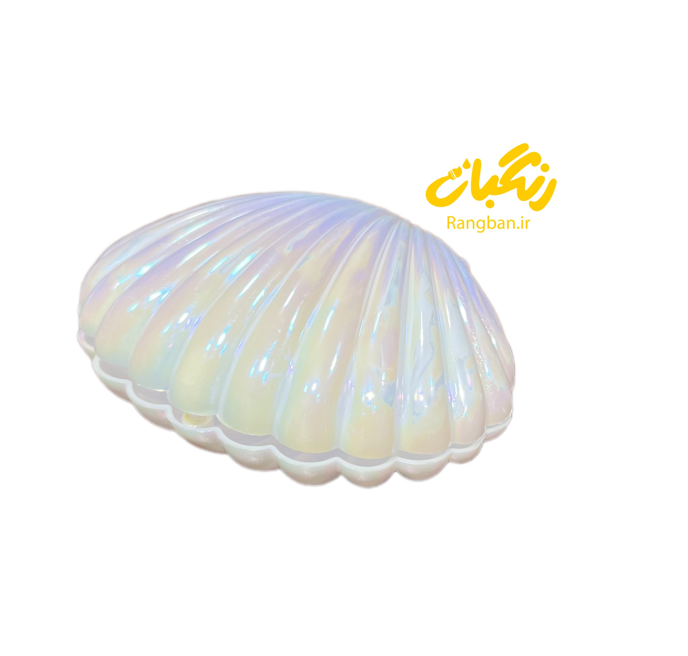 باکس صدف تزیینی